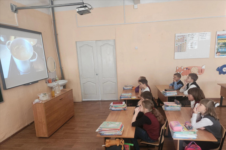 эколята.